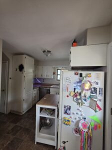 Professional cabinet painting