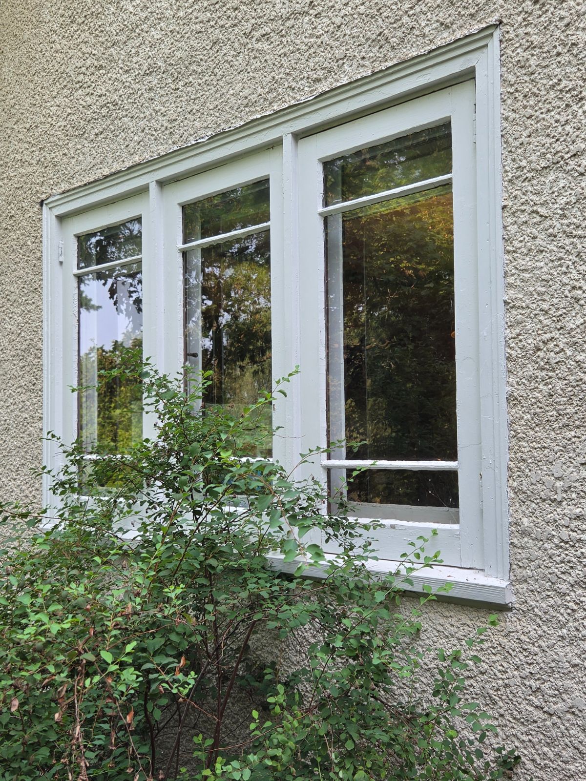 Weathered green window trim on a stucco home with cracked, flaking paint at the sash and sill