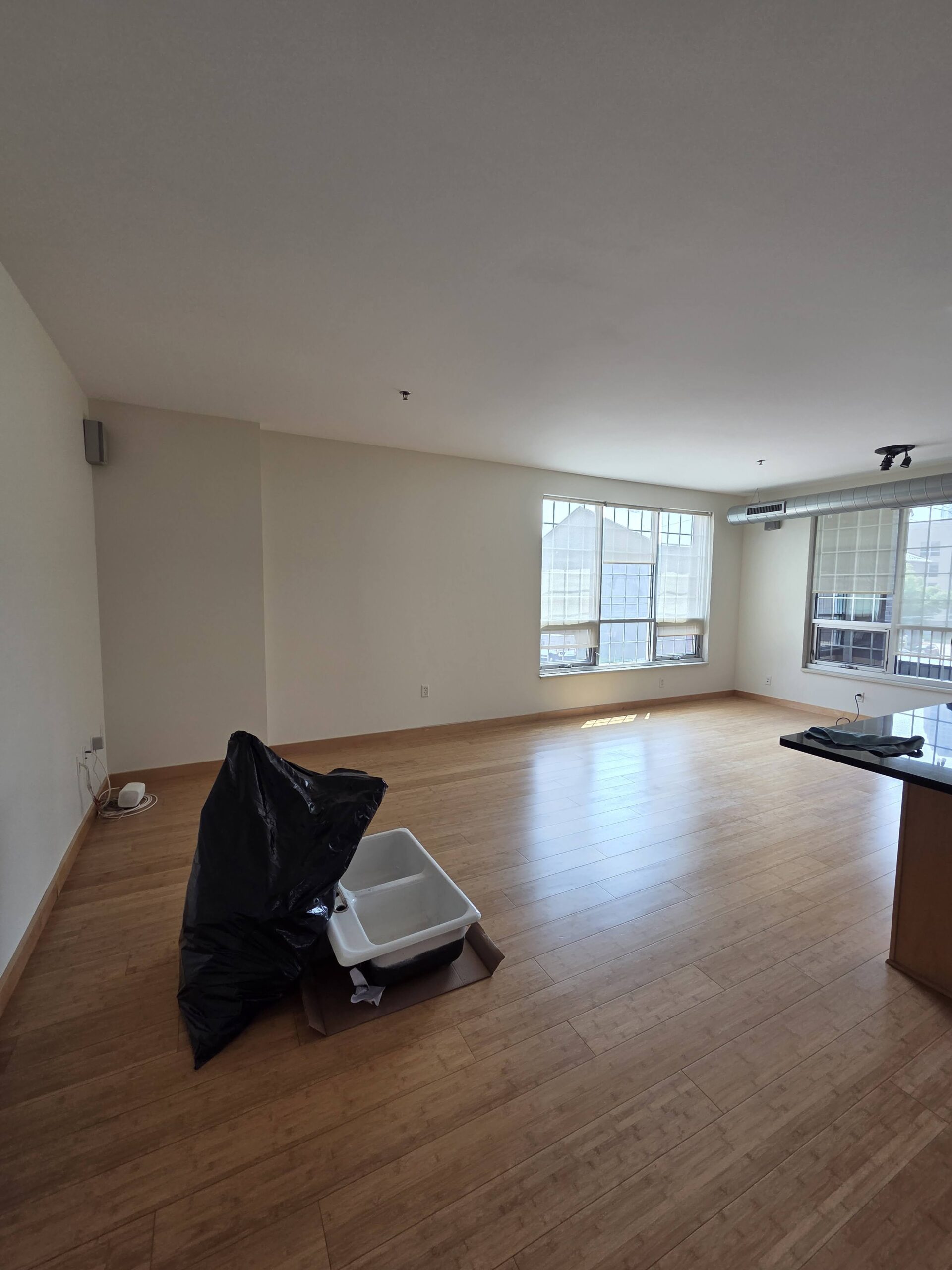 Open living area with evenly painted walls and ceiling, clean lines at windows and baseboards